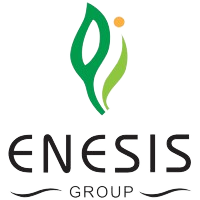 Enesis Logo